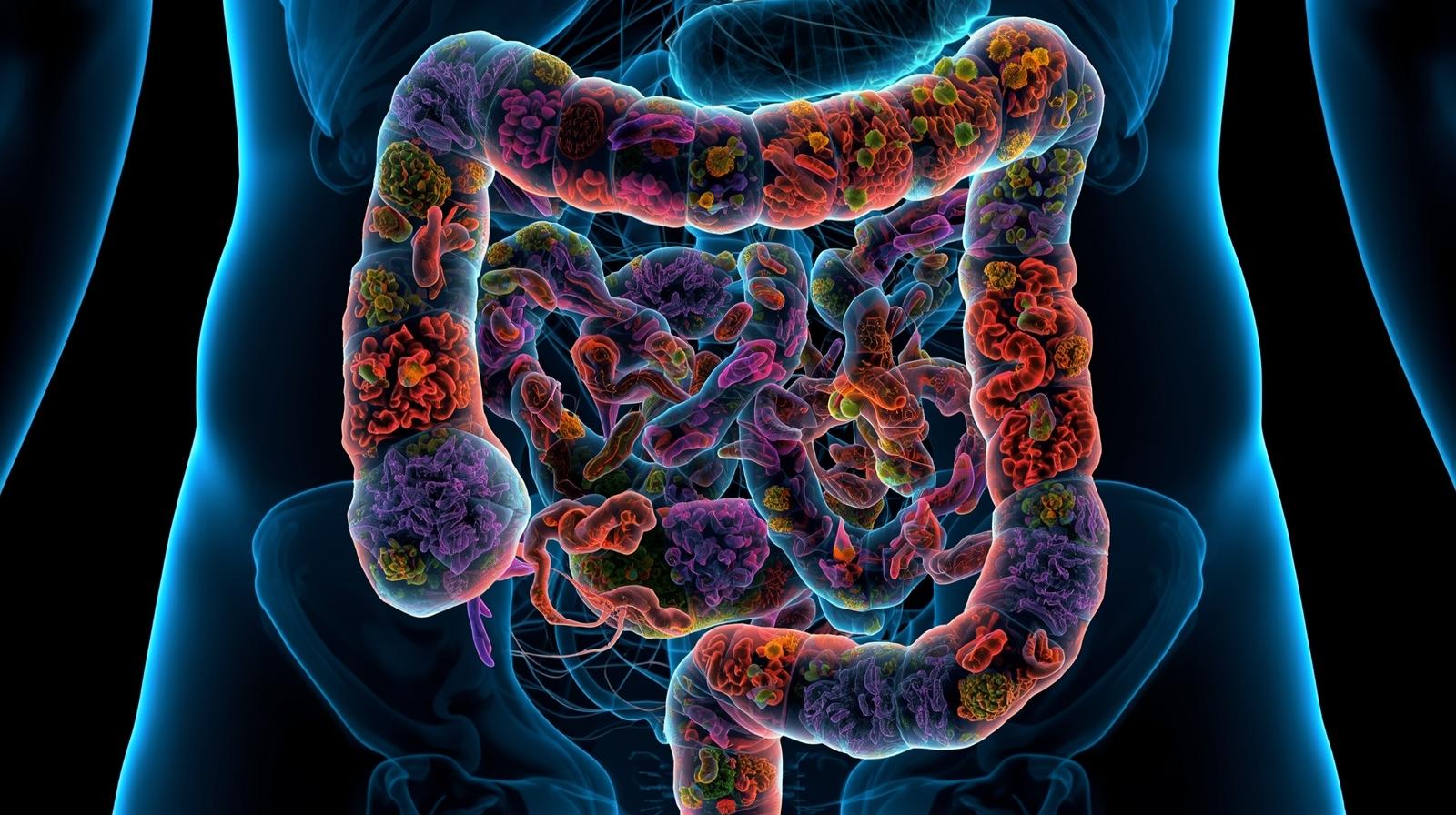Az elfeledett szervünk - Mi is pontosan a mikrobiom?  – Mikrobiom 1. rész