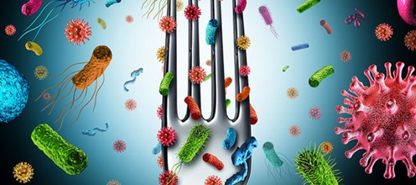 A láthatatlan védőpajzs - Hogyan támogassuk bélrendszerünk kulcsfontosságú baktériumait?