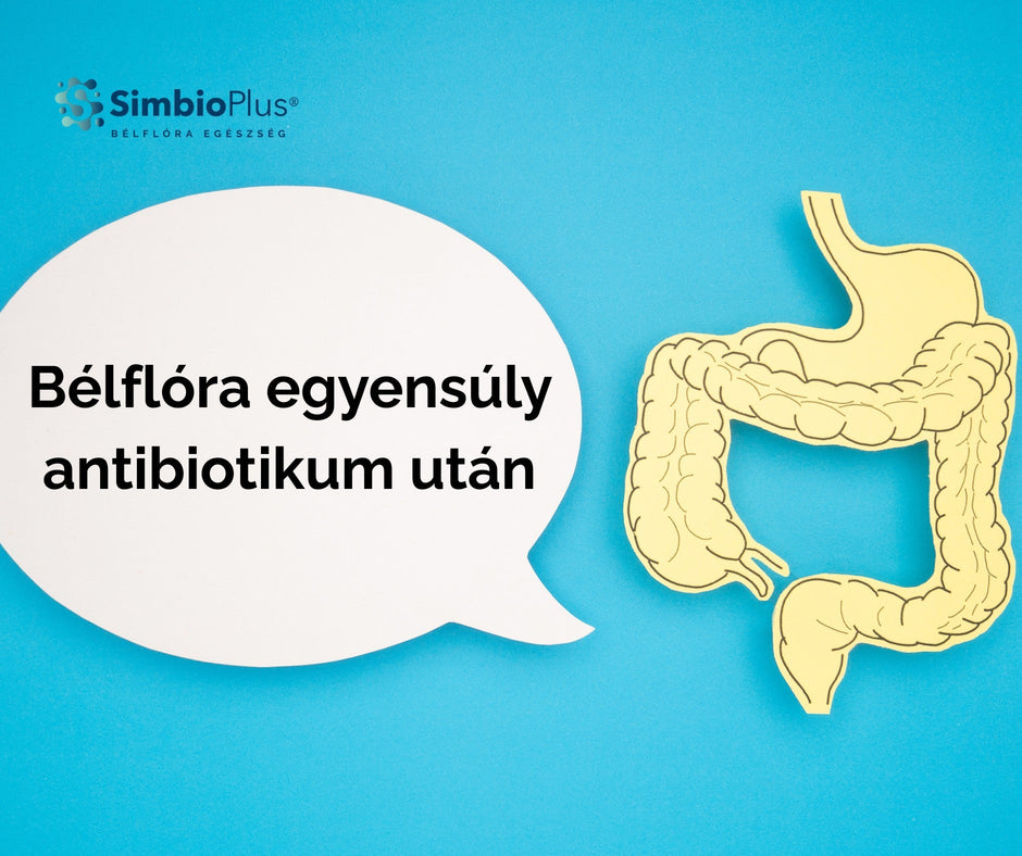 Betegség vagy antibiotikum után: hogyan támogatható a bélflóra egyensúlya?