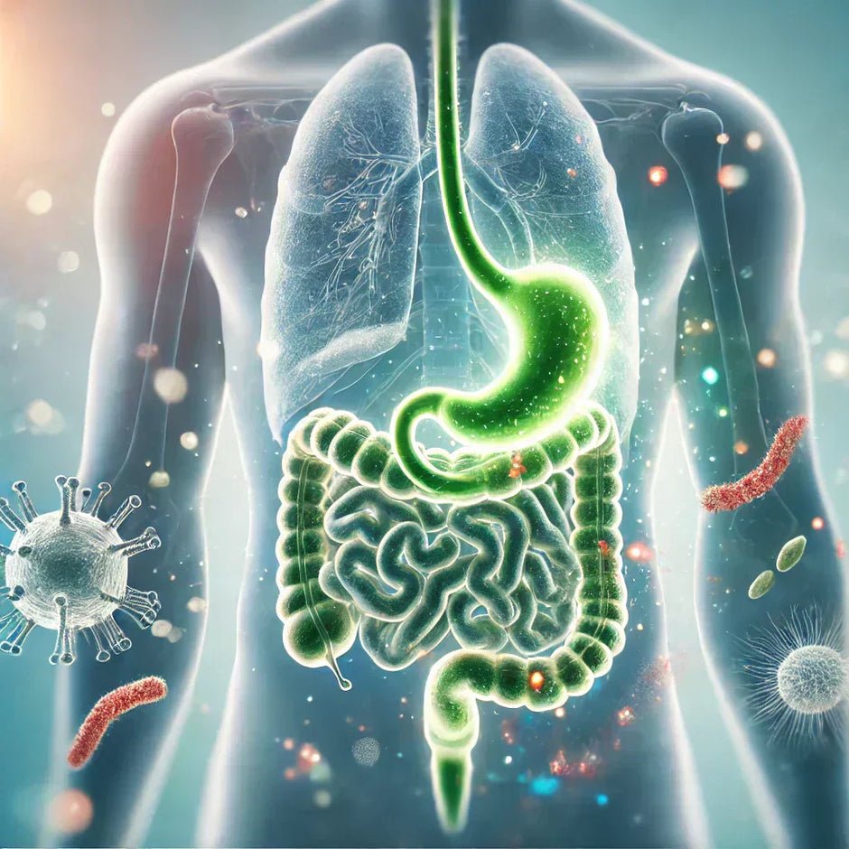 Miért kulcsfontosságú a bélflóra támogatása krónikus állapotok esetén? – Az anyatej oligoszacharidok tudományos háttere