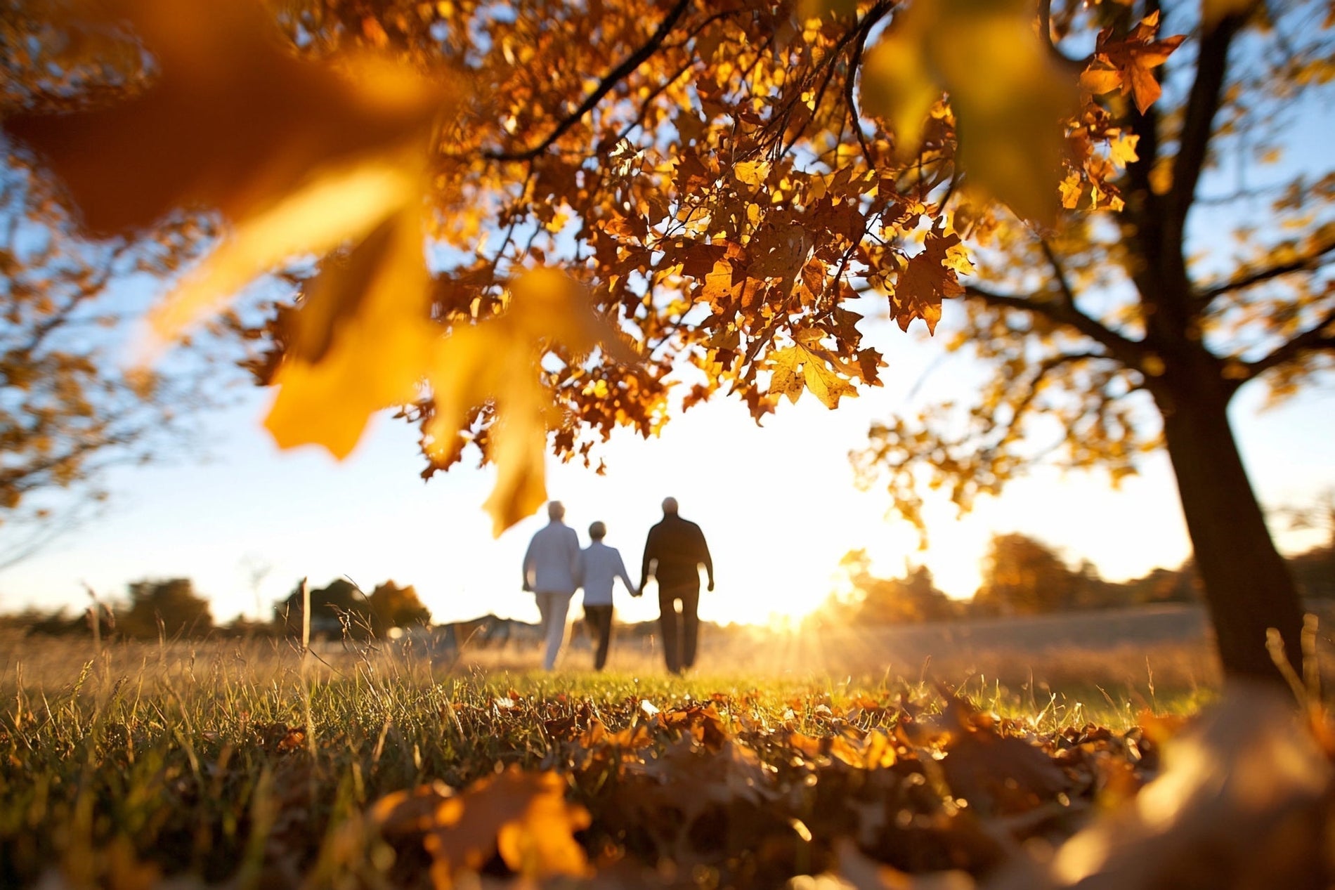 Őszi fáradtság és hangulatingadozás? – Hogyan segíthet az agy–bél tengely egyensúlya