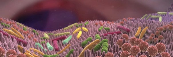 A mozgás és az alvás hatása a microbiomra